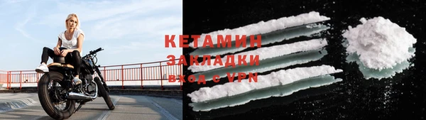 дмт Ельня