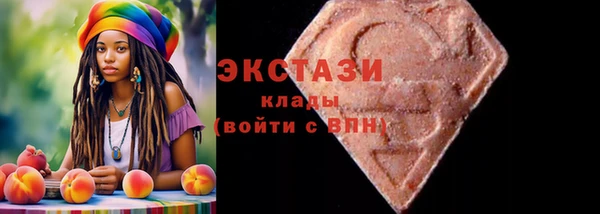 дмт Ельня