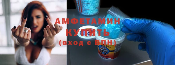 дмт Ельня