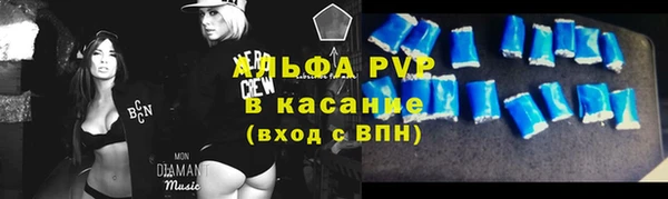 дмт Ельня