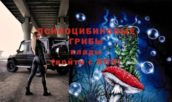 скорость Елизово
