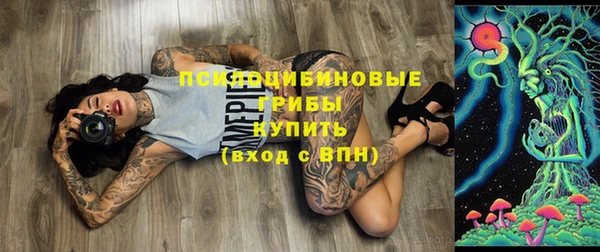 скорость Елизово