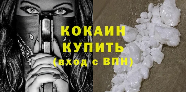 дмт Ельня