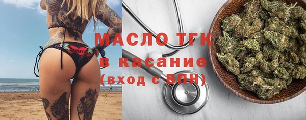 дмт Ельня