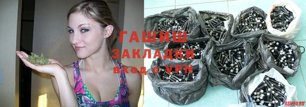 дмт Ельня