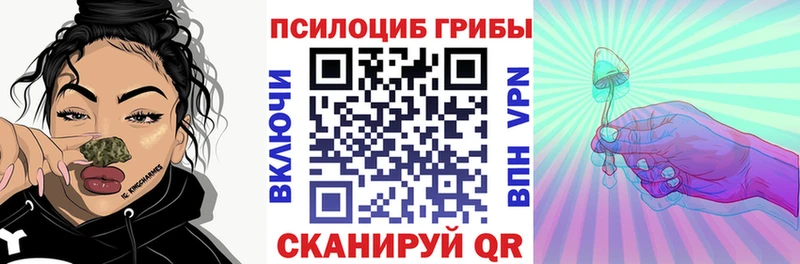 сайты даркнета официальный сайт Жуковка Псилоцибиновые грибы мицелий где купить наркоту ОМГ ОМГ tor